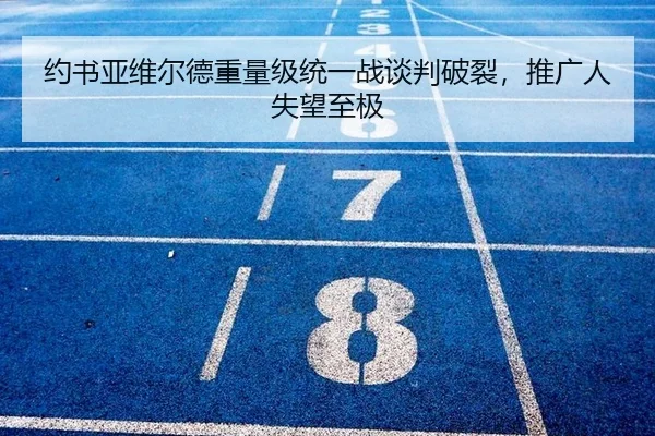 约书亚维尔德重量级统一战谈判破裂，推广人失望至极